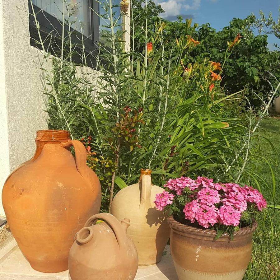 Pourrieres Philoxenia B&B 외부 사진