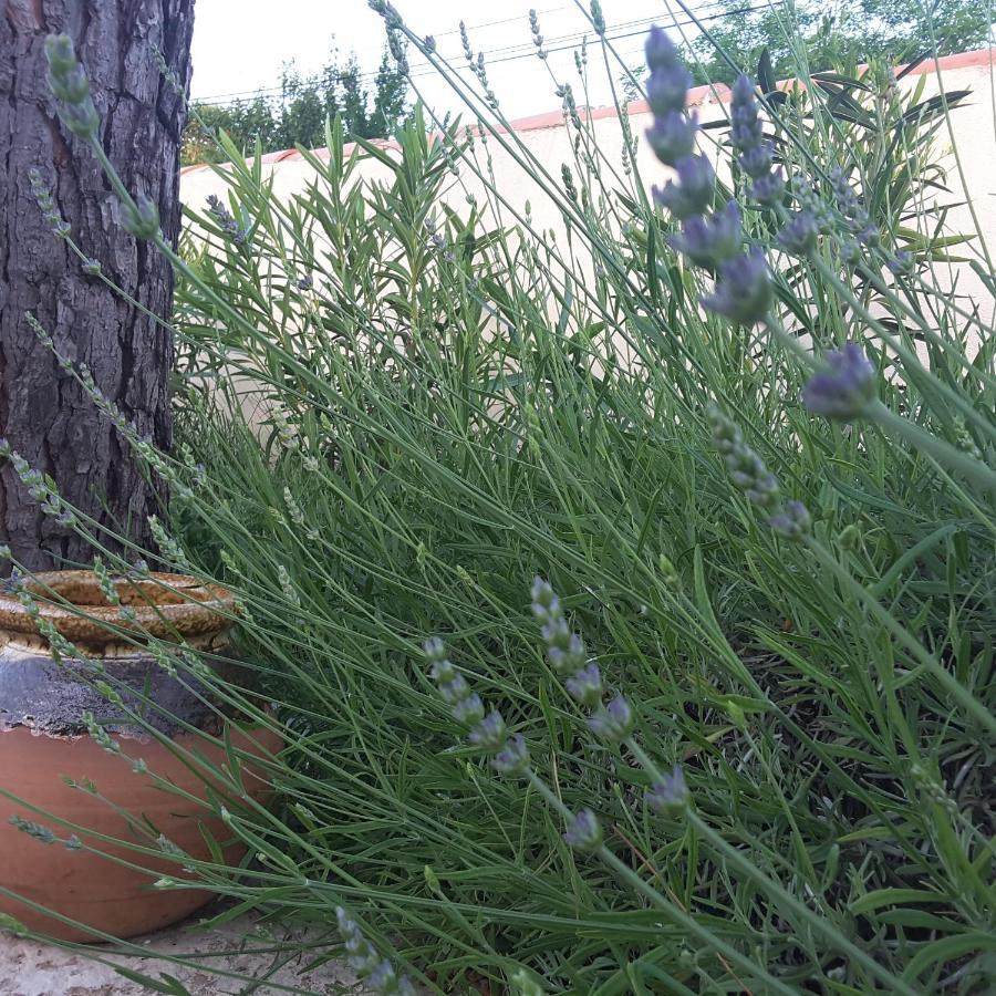 Pourrieres Philoxenia B&B 외부 사진